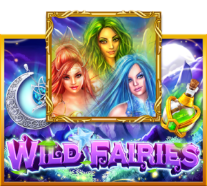 WILD FAIRIES ()